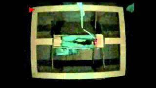 Grid Cells Fire in a Mouse Brain