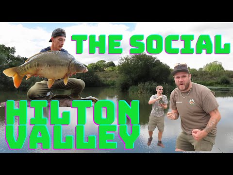The social |