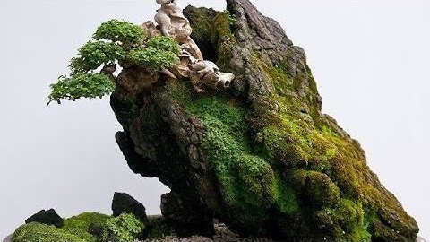 THÊM MỘT Ý TƯỞNG HAY CHO TIỂU CẢNH CỦA BẠN.