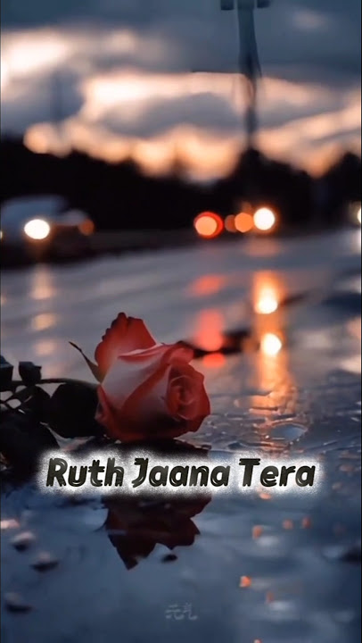 Ruth jana Tera maan jaana mera #trending #music #lyrics #viral #fypシ゚viral