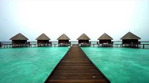 ابو شبر السعدي سورة العنكبوت