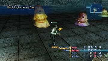 Flan Fight-FF12 1.6.0 Randomizer (Controlled Random)