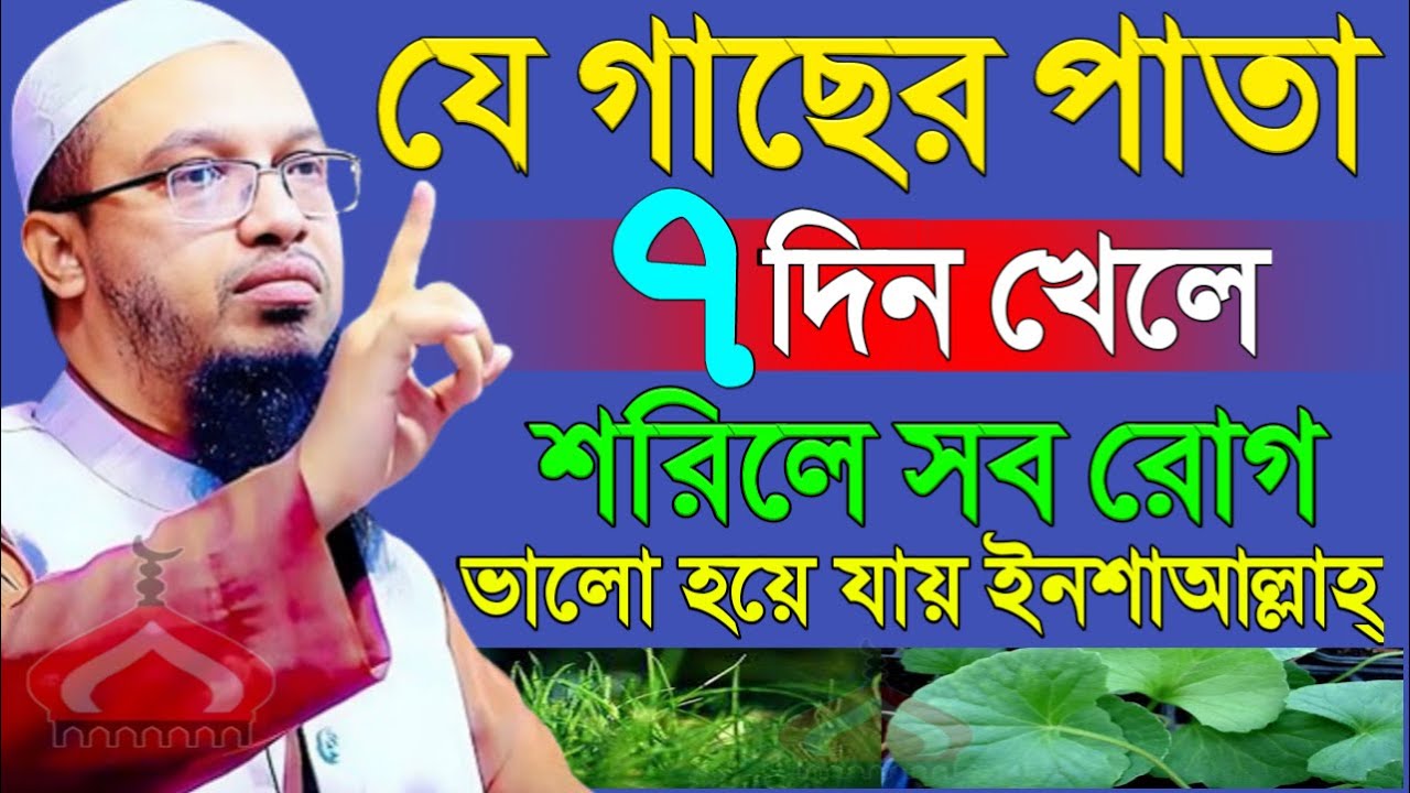 যে গাছের পাতা ৭দিন খেলে শরীলের সব রো গ ভালো হয় ! Shaikh Ahmadullah Mar 7, 2026 NDF568JTRU 7:05 PM