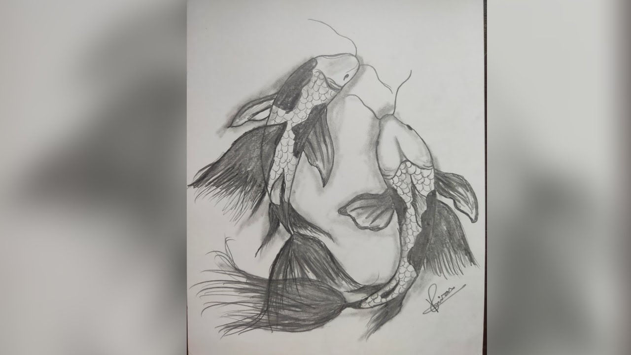 How to draw realistic fish with pencil drawing || fish pencil sketch