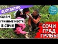 Где и какие грибы растут в Сочи ➤Погода в Сочи осенью в ноябре ➤Что мы нашли в лесу?! 🔵ПроСОЧИлись