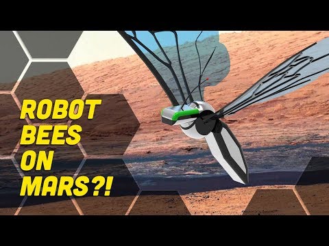 Video: NASA Will Release Robotic Bees To Explore Mars - - Alternative View