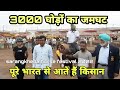 सारंगखेड़ा किसानों के नामी 3000 घोड़ों का जमघट | munna Dada ka interview | pkraj vlogs