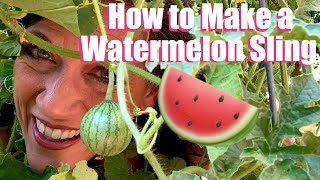 How to Make a Free, Easy Watermelon Sling to Support Melon Growing Vertically on a Trellis 