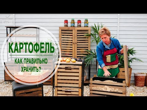Как правильно хранить картофель? 🌟 Ящики для хранения ✔ Полезные советы эксперта hitsadTV