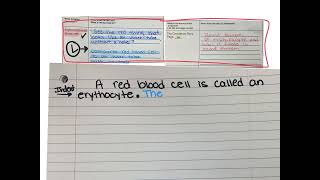 How To Create Evidence Set Module 1 Lesson 9