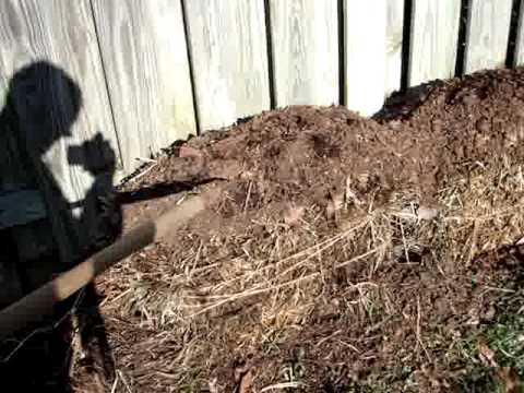 straw bales for gardening