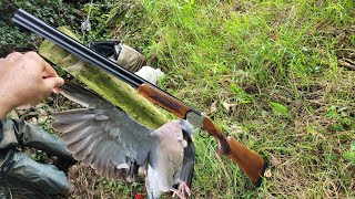 First Hunt in ireland ?? / Malayalam vlog / Limerick / Pigeon hunting