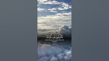 سورة آل عمران 🤍 #سورة_آل_عمران #surah_al_imran #qurantilawat #قران_كريم #اكسبلور