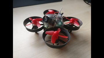 TINY WHOOP IN THE GARDEN || E011 MOD