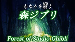 【あなたを誘う森ジブリ】〜Forest of Studio Ghibli〜(リラックス ストレス解消 癒し 作業 睡眠用BGM) COVID-19 stress free Piano ピアノ 三浦コウ