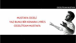 Mustafa Ceceli Yaz Bunu Bir Kenara