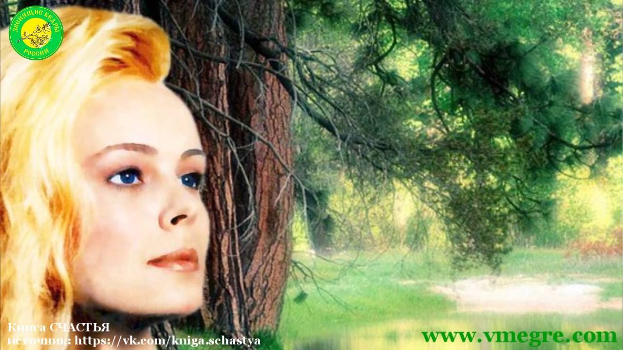 изнаночной владимир мегре фото анастасии овощи