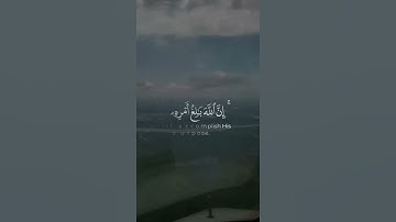 تلاوة ماهر المعيقلي