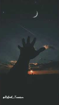 Kebahagiaan  Status WhatsApp