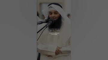 سورة العنكبوت الآيات (٣٦-٣٨)Сура Аль-Анкабут Аяты (36-38) #коран #quran #قرآن