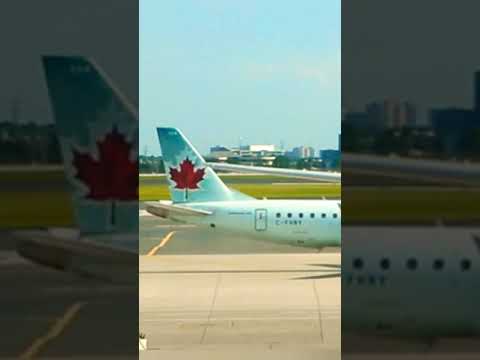 Video: Wat is die verskil tussen ekonomie en premium ekonomie op Air Canada?