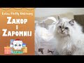 Eco cat litter zakop i zapomnij  extra fluffy unboxing 