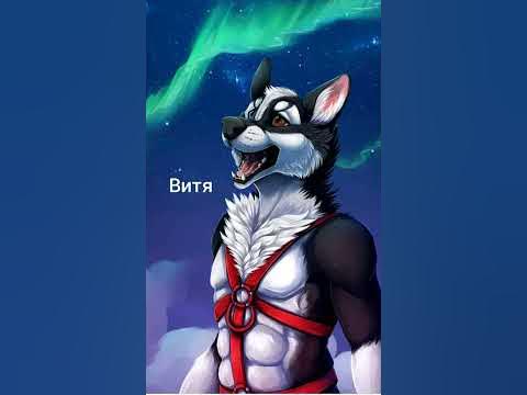Волки фурри - YouTube