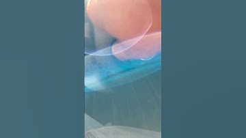 2016 Honda Accord key test after program