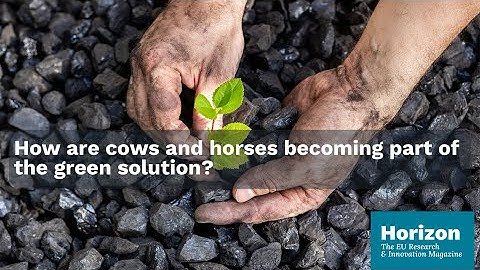 From mines to meadows: how science is reviving Europe’s forgotten landscapes