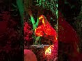 Открываем двери в сказку в Особняке-Небылице