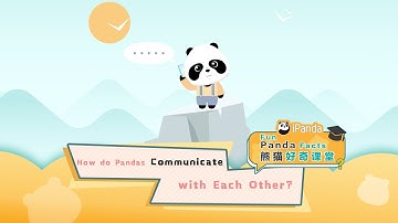 【Fun Panda Facts】How Do Pandas Communicate With Each Other? | iPanda