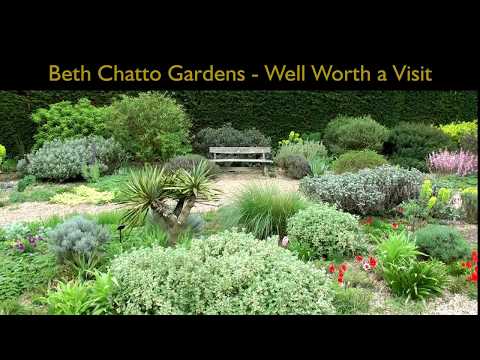 Beth Chatto Gardens