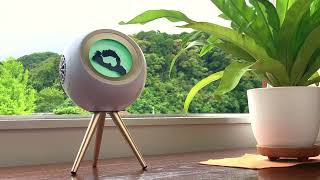 時を忘れ、思考を止めるひと時を・・・音楽を視覚で魅せるハートフル