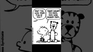 #28  'Calvin and Hobbes.'