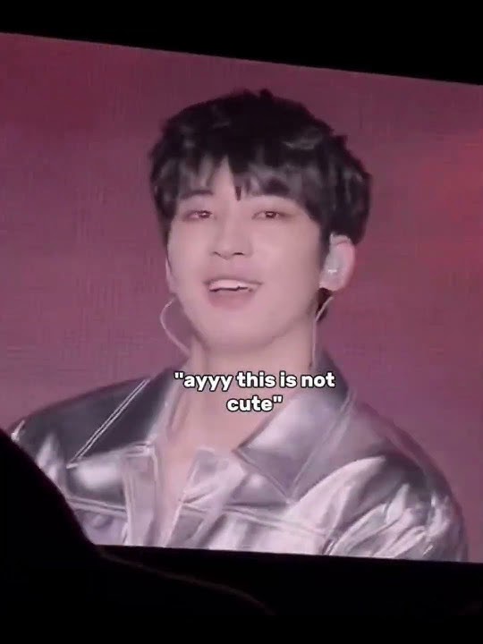 Man was agyeoing in deep voice🤣🤣🐈⬛ #seventeen #wonwoo #seungkwan #dk