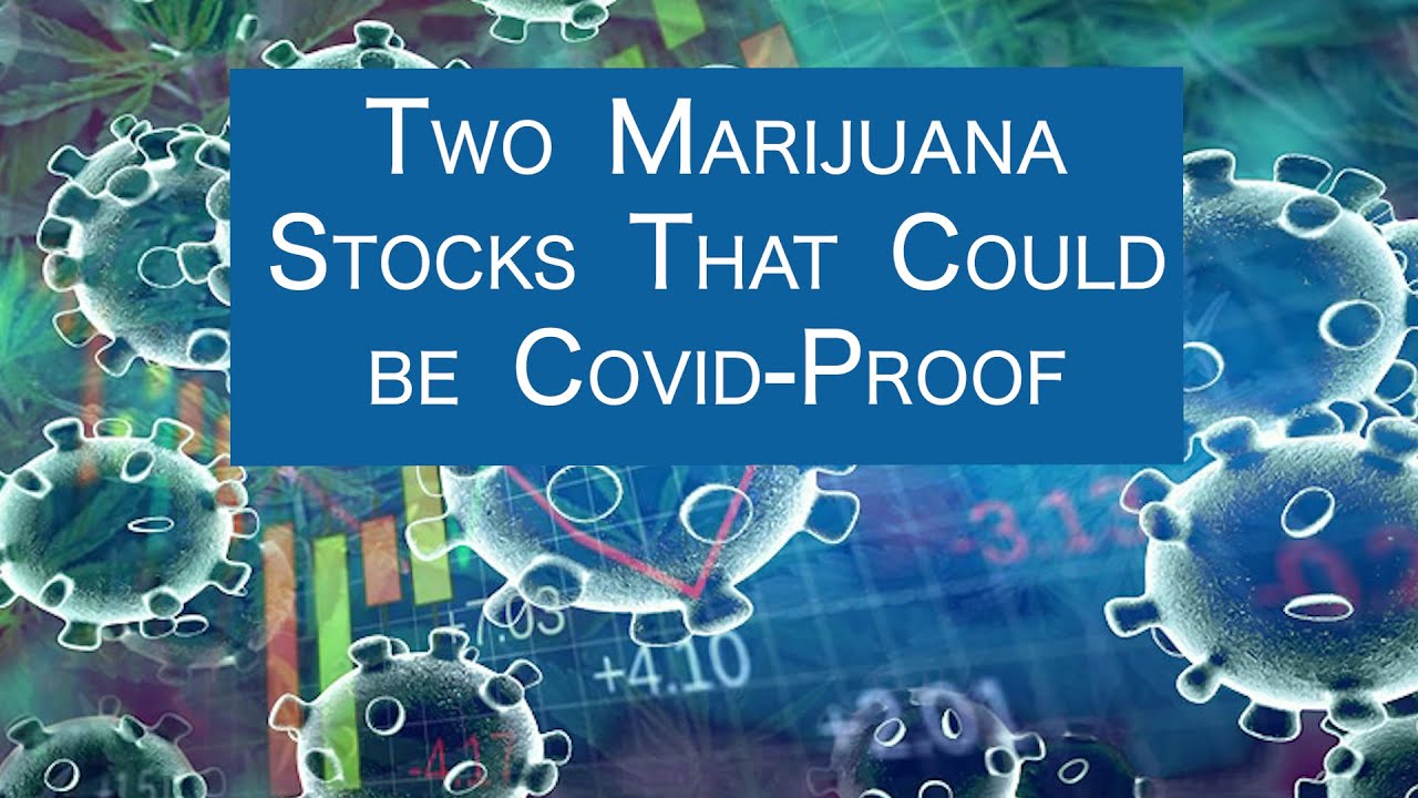 Two Marijuana Stocks That Could be Covid-Proof