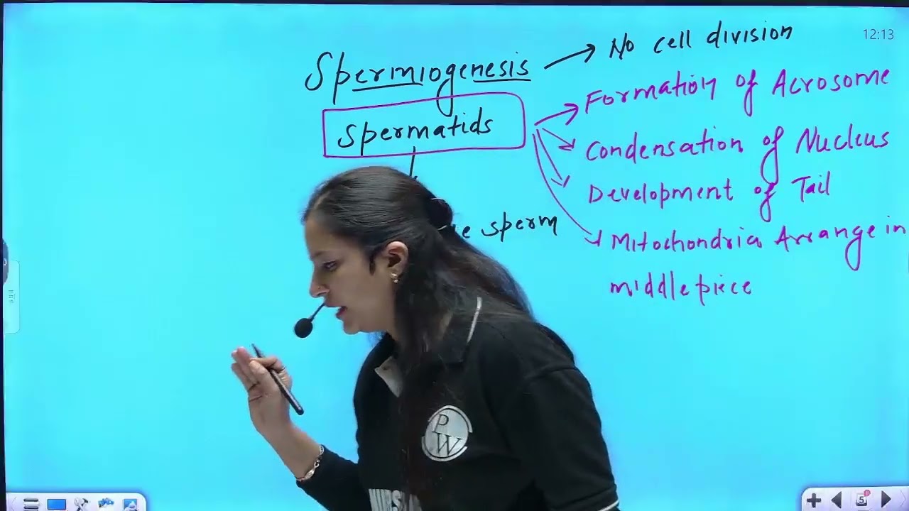 2 Disoders of Male Reproductive System 02   Benign Prostatic Hyperplasia