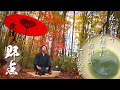 【僕流の野点】北海道の森で点てる晩秋の一服。日本の伝統文化、茶道に全力で挑戦してみた。【和装/紅葉】