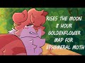 Rises the Moon || 8 hour Goldenflower map - for Ephemeral Moth