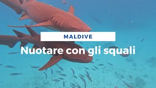 Nuotare con gli squali alle Maldive