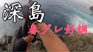 【深島】春グレ求めて大分へ2024/4/30