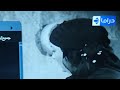 تردد قناة الحياة الزرقاء الحياة مسلسلات الجديد على النايل سات alhayat moslslat 2022 mp3
