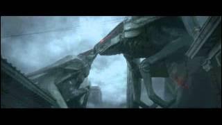 Muto and Muto