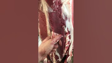 The FASTEST way to remove silver skins from backstraps (one SIMPLE trick makes it easier!!!)