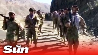 Afghan resistance fighters kill ‘dozens of Taliban & stockpile weapons’