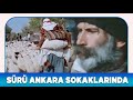 Sürü Türk Filmi | Sürü ile Ankara&#39;ya Geldiler!