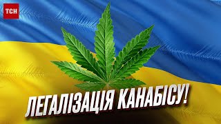 🌿 Українці закликають легалізувати канабіс! Верховна Рада розглядає законопроєкт