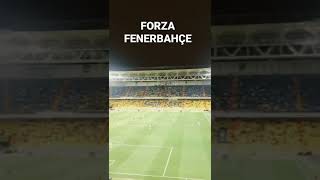 Forza Fenerbahçe
