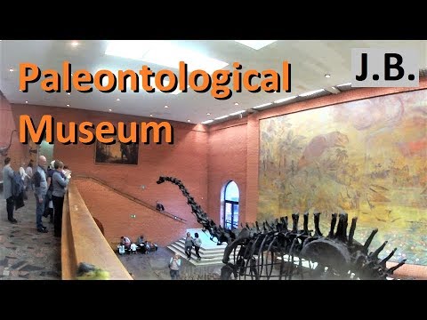 Video: Dinosaurus di museum Moskow: apa, di mana, dan kapan