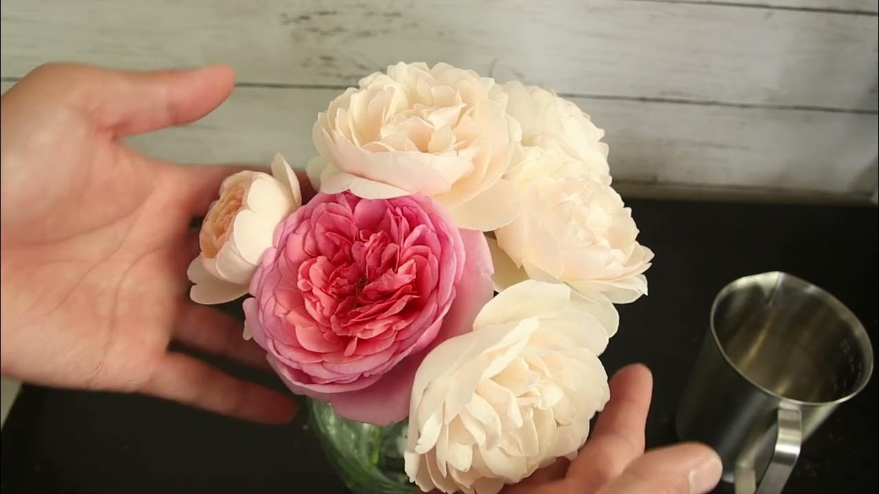 How to Make Rose Absolute. Two Ways to Extract Rose Oil. Make Rose Essential Oil and Rose